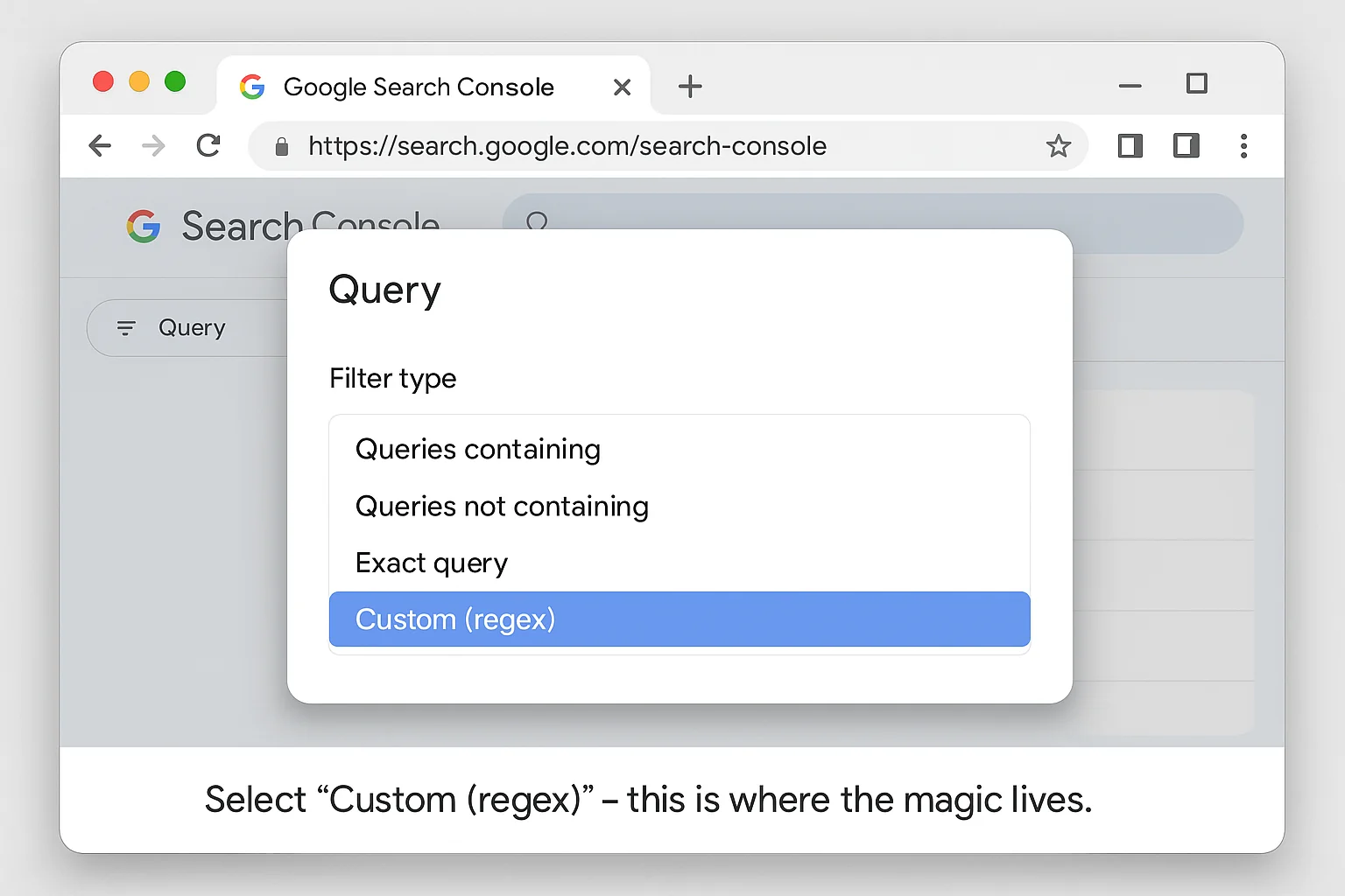 The query filter dialog showing the filter type dropdown with options: Queries containing, Queries not containing, Exact query, Custom (regex). "Custom (regex)" is highlighted. Caption: "Select 'Custom (regex)' -this is where the magic lives."