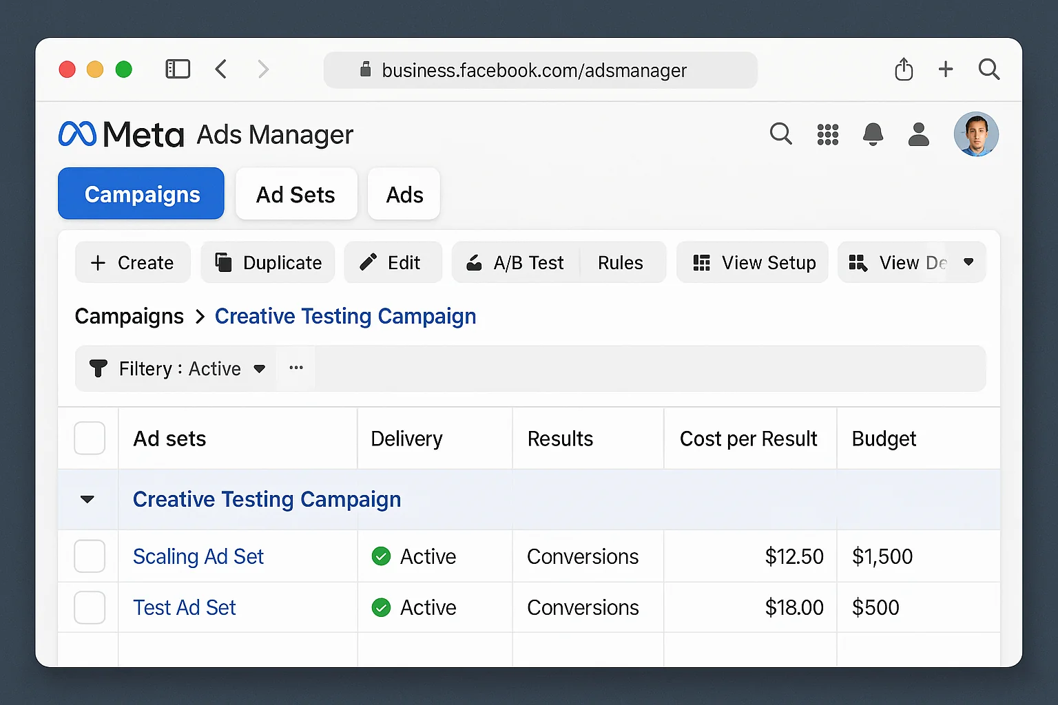 Campaign structure showing budget split between a scaling ad set and a test ad set